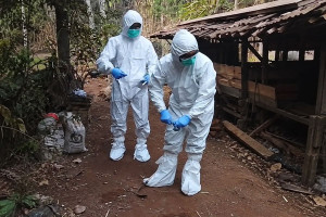 Proper handling of livestock carcasses helps reduce the risk of anthrax exposure in affected communities.